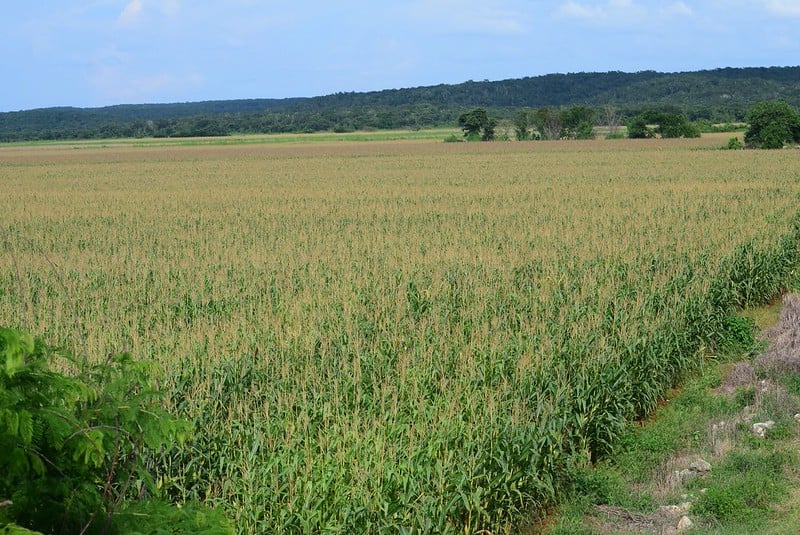 El PEF 2027 para el sector agrario y la impartición de justicia